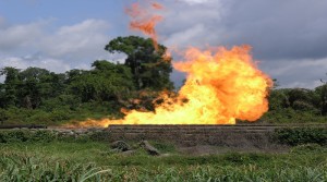 Shell gas flare at Kolo Creek - surrounded by agricultural fields.