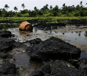 Oil polluted land in Ogoniland
