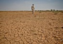 Germany to host 2024 Desertification and Drought Day