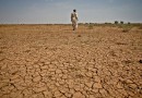 2025 Desertification and Drought Day to focus on accelerating progress to restore degraded land 2025 Desertification and Drought Day to focus on accelerating progress to restore degraded land