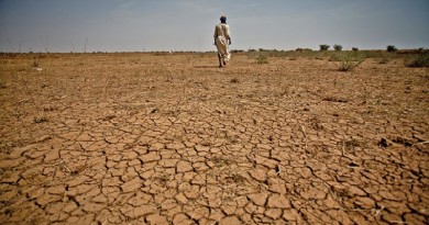 Saudi Arabia, UNEP launch World Environment Day campaigns to combat desertification and restore degraded lands