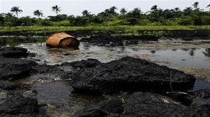 Polluted Ogoniland
