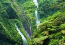 Latin American, Caribbean countries agree on an ambitious environmental agenda for the region Latin American, Caribbean countries agree on an ambitious environmental agenda for the region