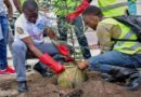 Nature Conservation: Activist advocates intensified tree planting