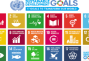 New report calls for transformational shifts rooted in science to achieve SDGs