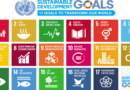 FAO ensures transparency, quality in measuring SDG 2 indicators