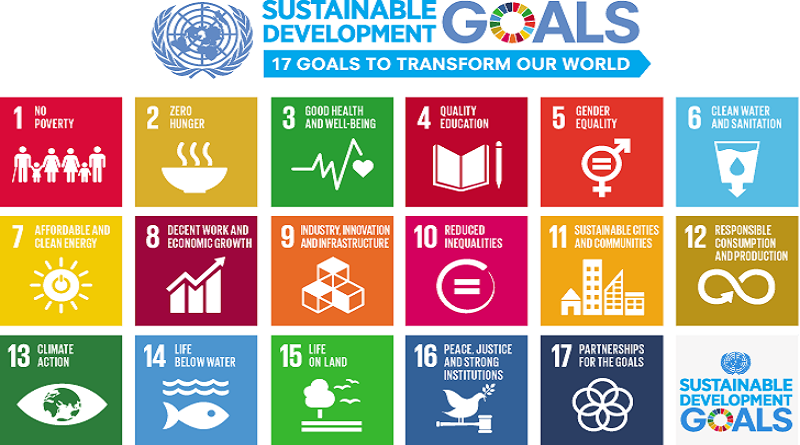 UN calls for urgent action to make SDGs stimulus a reality UN