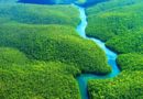 Indigenous Knowledge and Climate Resilience in the Amazon: Bridging traditional wisdom and modern technology