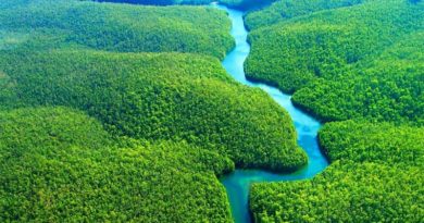 Indigenous Knowledge and Climate Resilience in the Amazon: Bridging traditional wisdom and modern technology