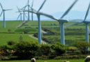 Renewable power remains cost-competitive amid fossil fuel crisis