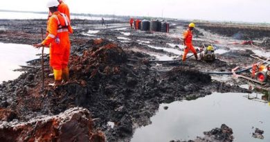 FG reiterates commitment to Ogoni clean-up project