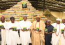 Buhari inaugurates 32-metric tonnes/hour Lagos Rice Mill