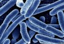 Foundation advocates prevention, treatment of tuberculosis to mitigate deaths
