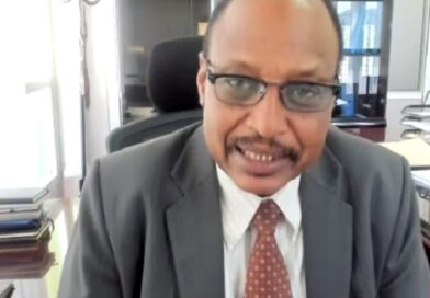 Africa needs concessional financing to build resilience against shocks, experts say