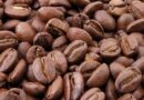 Adverse climatic conditions drive coffee prices to highest level in years-FAO