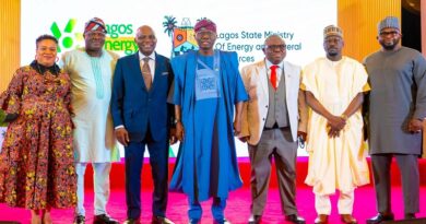 Lagos targets six gigawatts power generation in three years Lagos targets six gigawatts power generation in three years
